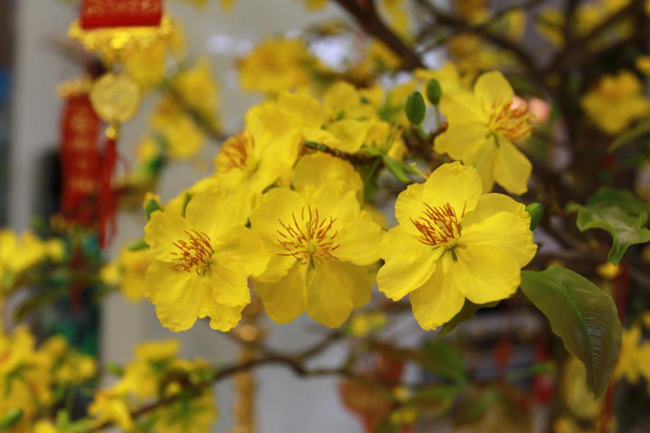 Ngoc Minh Khách sạn 2*